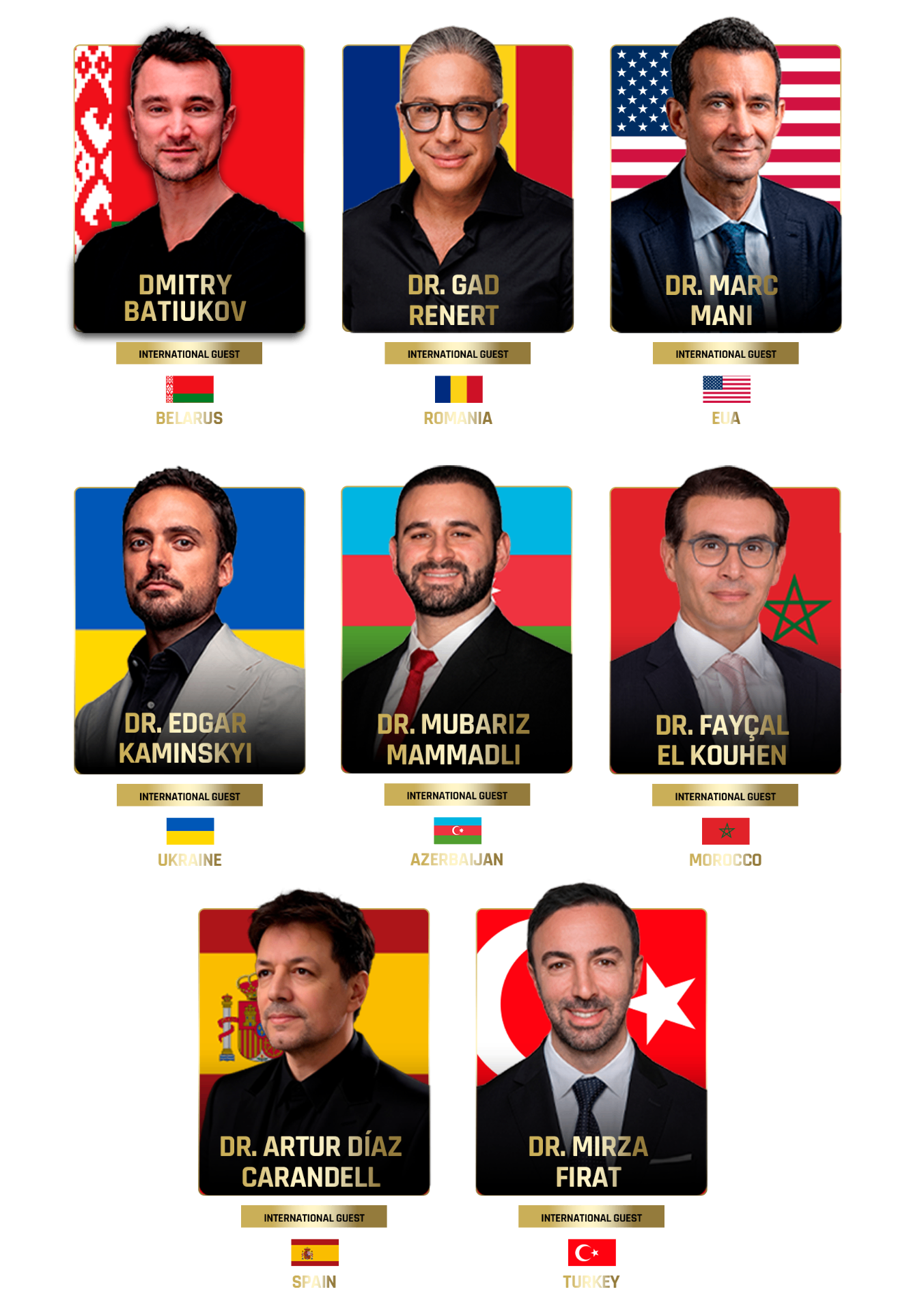 International guest professors