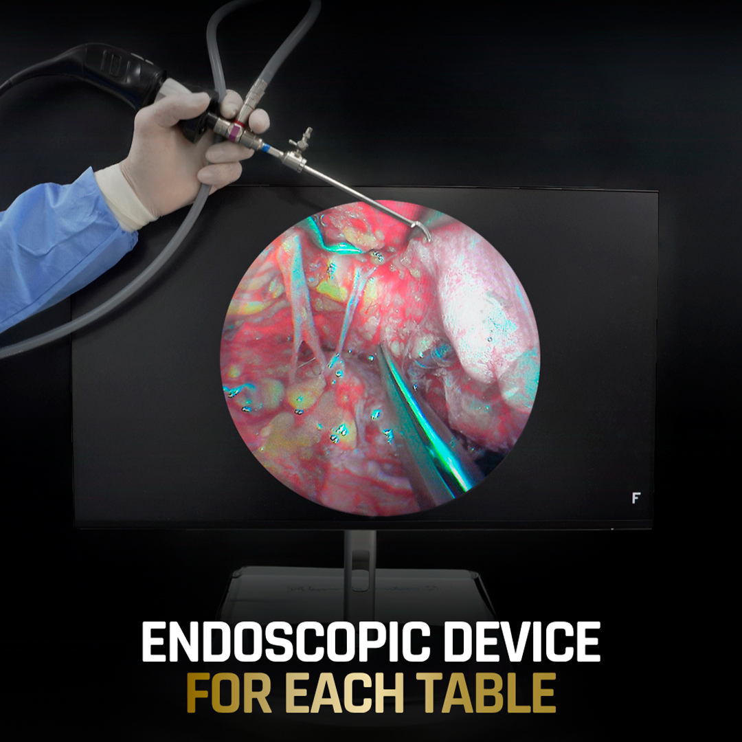 Endoscopic Device